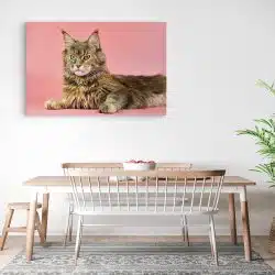 Tablou pisica Maine Coon 4212 bucatarie3