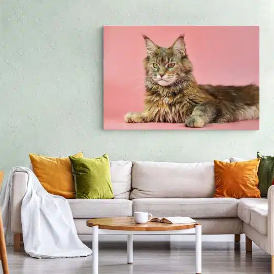 Tablou pisica Maine Coon 4212 living 1