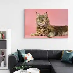 Tablou pisica Maine Coon 4212 living