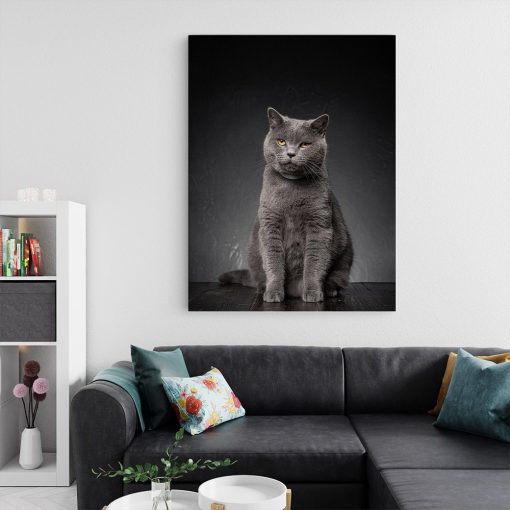 Tablou pisica gri Chartreux 3081 living 2