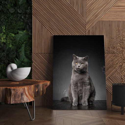 Tablou pisica gri Chartreux 3081 living