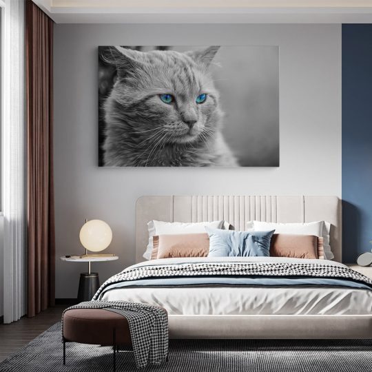 Tablou pisica gri cu ochi albastri 3070 dormitor