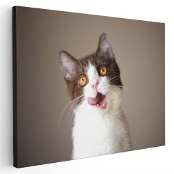 Tablou pisica maro cu alb cu limba scoasa 3071