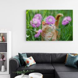 Tablou pisica maro printre flori roz 3060 living