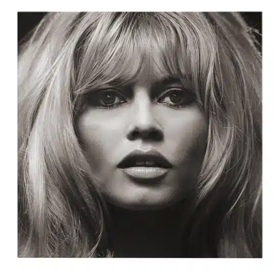 Tablou portret actrita Brigitte Bardot alb negru 1509 frontal - Afis Poster Brigitte Bardot actrita alb negru pentru living casa birou bucatarie livrare in 24 ore la cel mai bun pret.