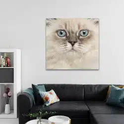 Tablou portret pisica British Longhair 4224 living