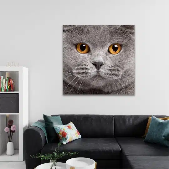 Tablou portret pisica British Shorthair 4227 living