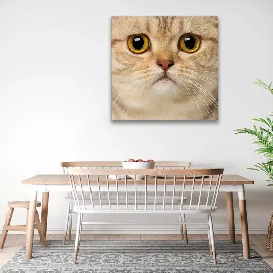 Tablou portret pisica British Shorthair 4233 bucatarie