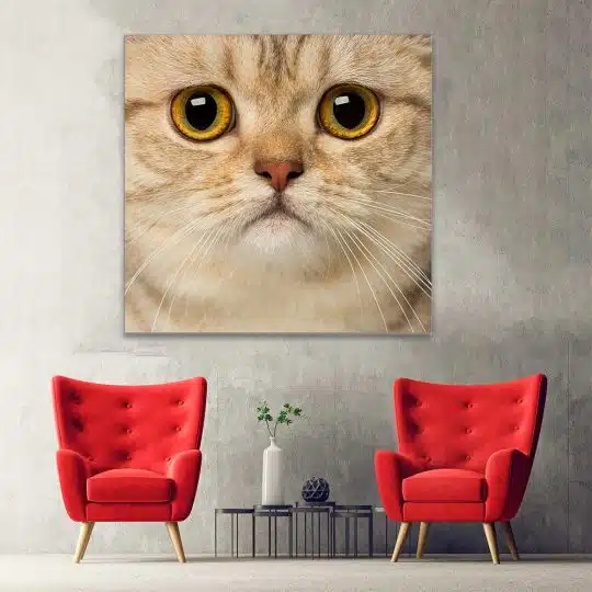 Tablou portret pisica British Shorthair 4233 hol