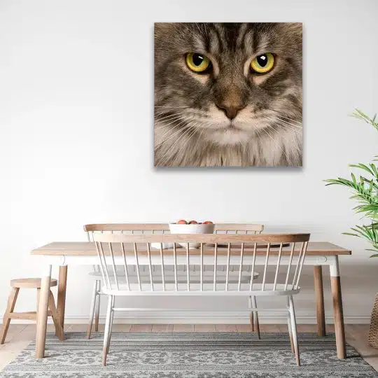 Tablou portret pisica Maine Coon 4229 bucatarie