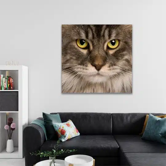 Tablou portret pisica Maine Coon 4229 living