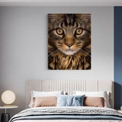 Tablou portret pisica maro cu negru 3117 dormitor