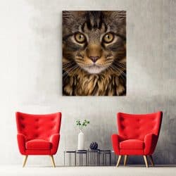 Tablou portret pisica maro cu negru 3117 hol
