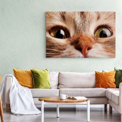 Tablou portret pisica maro detaliu 3069 living 1