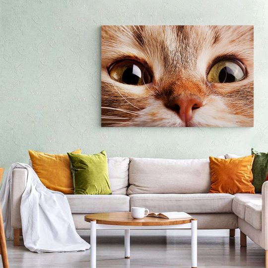 Tablou portret pisica maro detaliu 3069 living 1