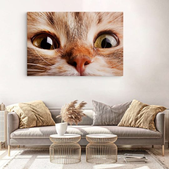 Tablou portret pisica maro detaliu 3069 living modern 3