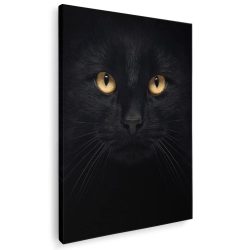 Tablou portret pisica neagra detaliu 3073