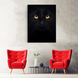 Tablou portret pisica neagra detaliu 3073 hol
