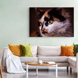 Tablou portret profil pisica 4210 living 1