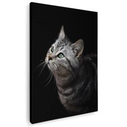 Tablou portret profil pisica gri 3075