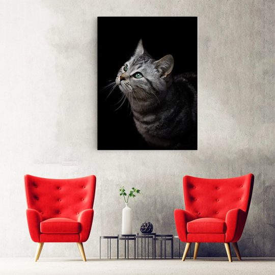 Tablou portret profil pisica gri 3075 hol