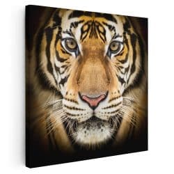 Tablou portret tigru bengalez 3231