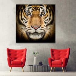 Tablou portret tigru bengalez 3231 hol