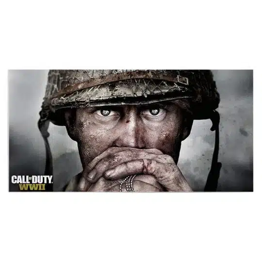 Tablou poster Call of Duty WWII 3409 front