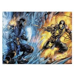Tablou poster Mortal Kombat 3512 front