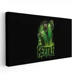 Tablou poster Reptile Mortal Kombat 3419