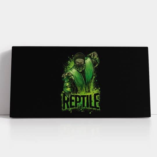 Tablou poster Reptile Mortal Kombat 3419 detalii tablou