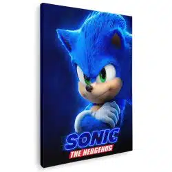 Tablou poster Sonic Ariciul 3649