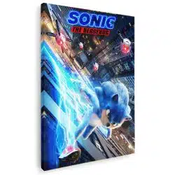 Tablou poster Sonic Ariciul 3651