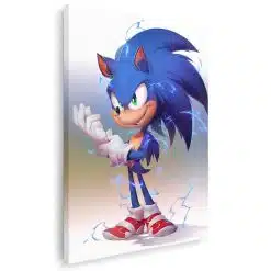 Tablou poster Sonic Ariciul 3661