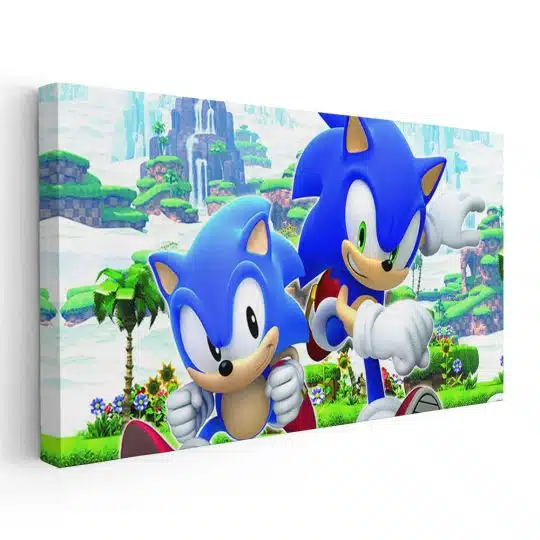 Tablou poster Sonic Ariciul 3820