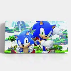 Tablou poster Sonic Ariciul 3820 detalii tablou