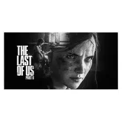 Tablou poster The Last of Us 3435 front