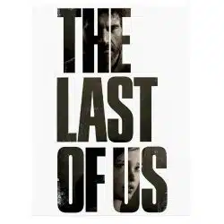 Tablou poster The Last of Us 3663 front