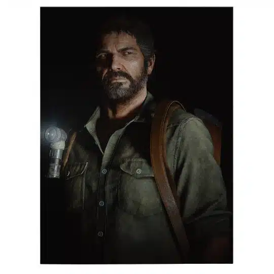 Tablou poster The Last of Us 3675 front