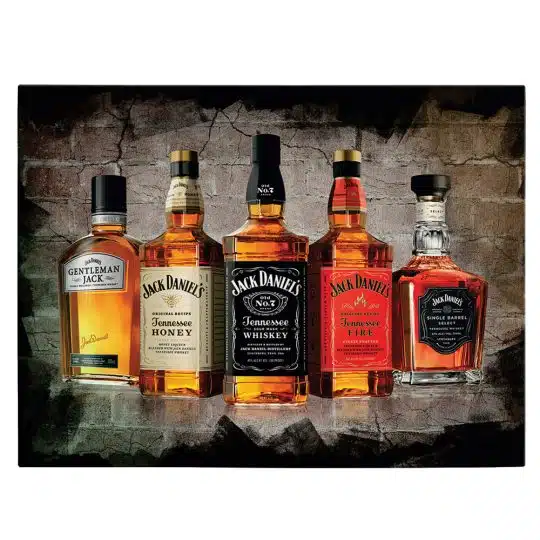 Tablou poster tipuri variate Jack Daniels 4103 front