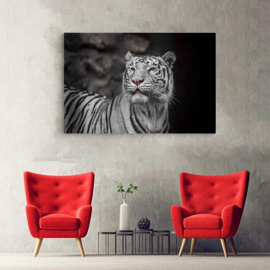 Tablou tigru alb cu ochi albastri 3127 hol