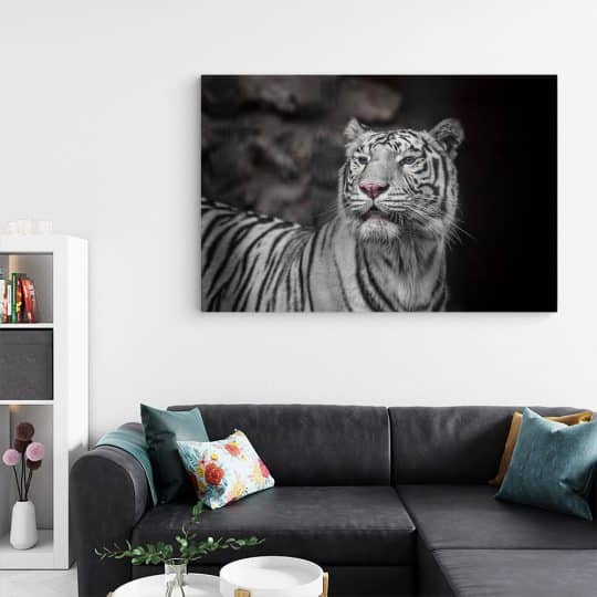 Tablou tigru alb cu ochi albastri 3127 living