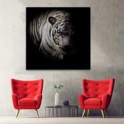 Tablou tigru alb fundal negru 3234 hol