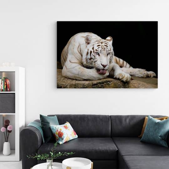 Tablou tigru alb odihnindu se 3125 living
