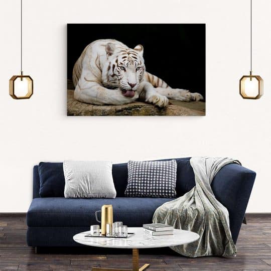 Tablou tigru alb odihnindu se 3125 living modern 2