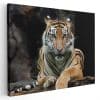 Tablou tigru de Sumatra 3240