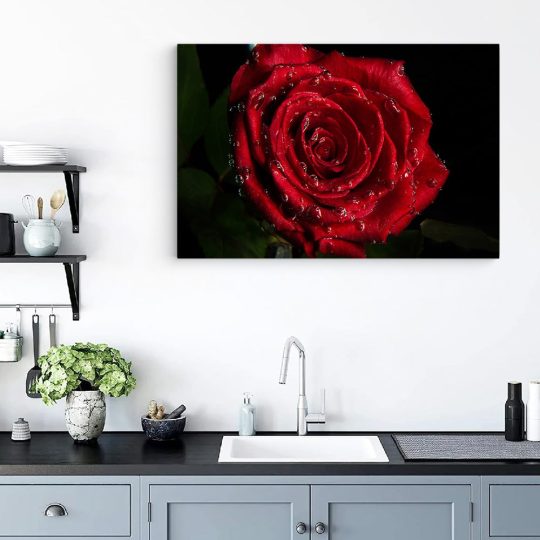 Tablou trandafir rosu cu roua detaliu rosu negru 1624 bucatarie - Afis Poster Tablou trandafir rosu cu roua pentru living casa birou bucatarie livrare in 24 ore la cel mai bun pret.