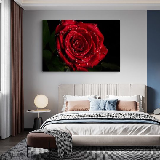 Tablou trandafir rosu cu roua detaliu rosu negru 1624 dormitor - Afis Poster Tablou trandafir rosu cu roua pentru living casa birou bucatarie livrare in 24 ore la cel mai bun pret.