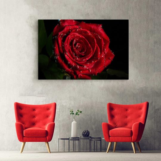 Tablou trandafir rosu cu roua detaliu rosu negru 1624 hol - Afis Poster Tablou trandafir rosu cu roua pentru living casa birou bucatarie livrare in 24 ore la cel mai bun pret.