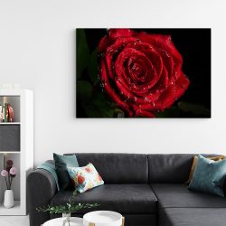 Tablou trandafir rosu cu roua detaliu rosu negru 1624 living - Afis Poster Tablou trandafir rosu cu roua pentru living casa birou bucatarie livrare in 24 ore la cel mai bun pret.